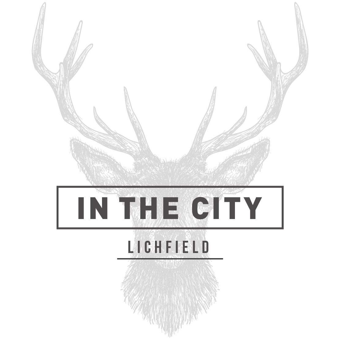 In the City Lichfield Payment Page