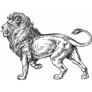 The Lion Brasserie - Colchester