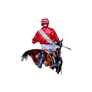Horse & Jockey - Congerstone